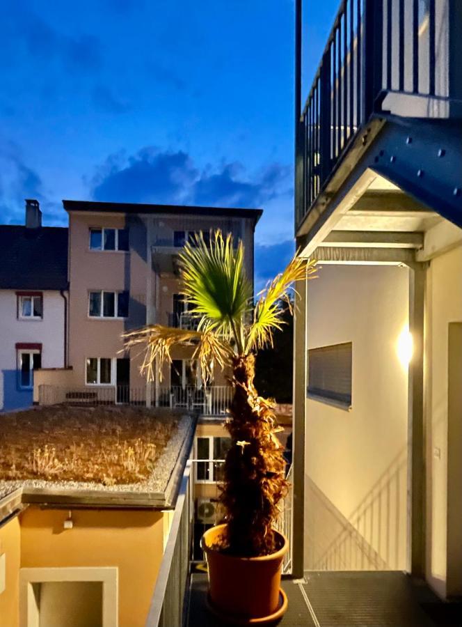 Good Night Apartments Binningen 外观 照片