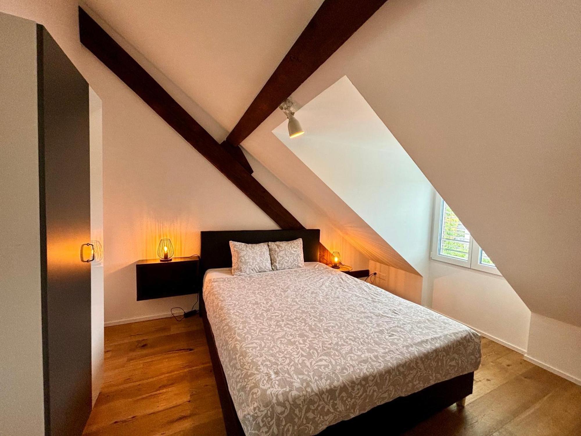 Good Night Apartments Binningen 客房 照片